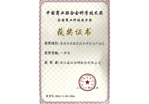 集成仿效提花技術(shù)-中國商業(yè)聯(lián)合會一等獎